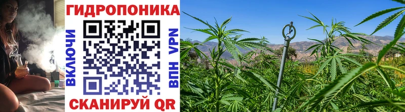 Каннабис MAZAR  площадка формула  Ульяновск 